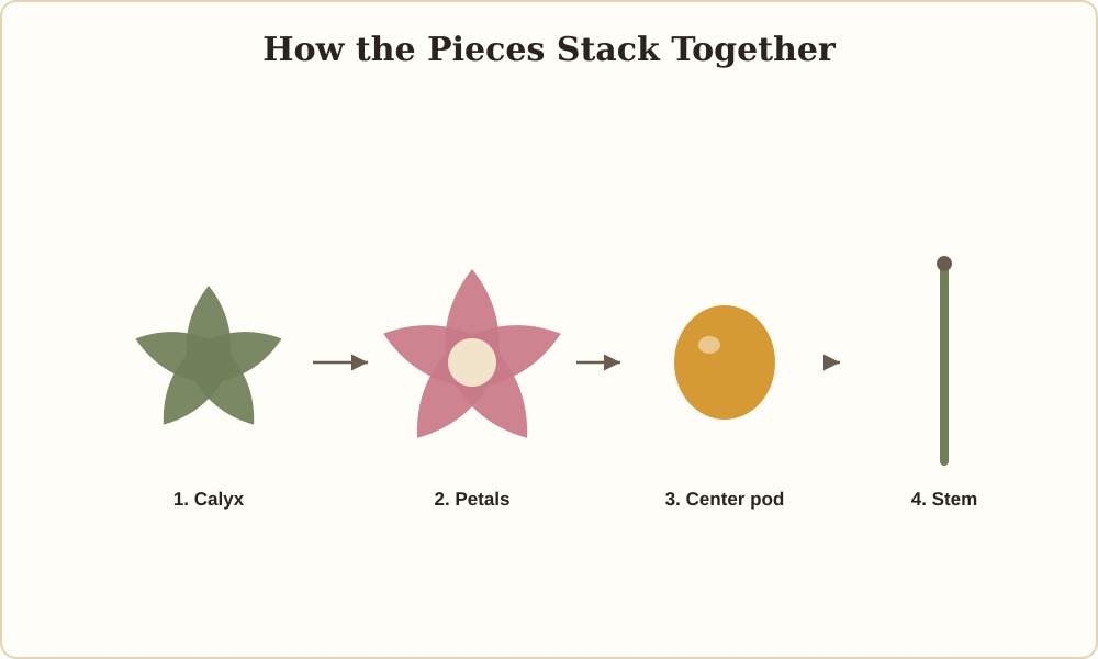 Diagram showing the order the calyx, petals, center pod and stem are assembled in