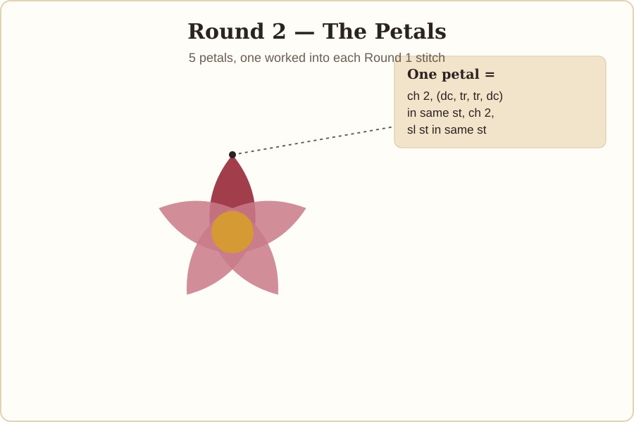 Diagram showing the five-petal round of the crochet cotton flower with one petal's stitches labeled